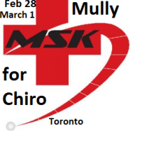Mully for Chiro - Upper Quarter - Toronto, Feb, 28-March 1, 2026 - Limited Seats
