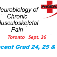 Neurobiology of Chronic Musculoskeletal Pain - Toronto (SEPT 26) -In-Person  Early Bird Sale before Sept.  1 - Recent Grad (24,25&26)