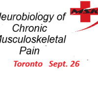 Neurobiology of Chronic Musculoskeletal Pain - Toronto (SEPT 26) -In-Person  Early Bird Sale before Sept.  1  - REGULAR