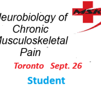 Neurobiology of Chronic Musculoskeletal Pain - Toronto (SEPT 26) -In-Person  Early Bird Sale before Sept.  1   - STUDENT   ( 10 SPACES)